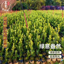 �y���_�h����ͥԺ���͘� �����՚��_�h�����辰�ļ������^�~����