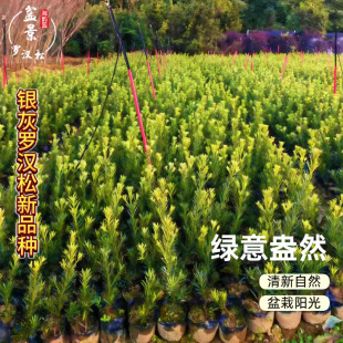 �y���_�h����ͥԺ���͘� �����՚��_�h�����辰�ļ������^�~����