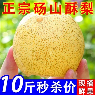 ���̓r�Xɽ���Ӯ���ˮ��10���������������ѩ�����