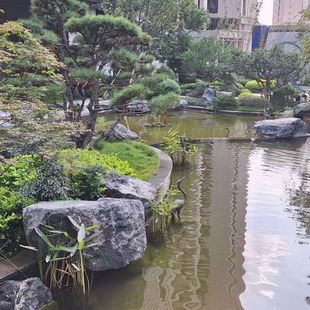 ��ɽʯ ��ƺ�c�Y �ӵ��g��ʯ �@���쾰���� ��ɽ��ˮ����ͥԺ�b�