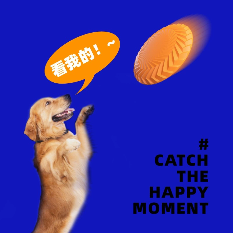 Dog flying disk soft bite dog outdoor training dog training side pastaed teddy golden hair backbone flying plate toys