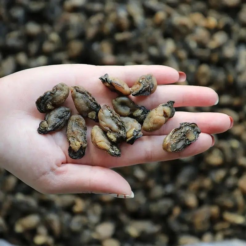福建特级小海蛎干煲汤常用小生蚝干货可即食新货淡干无沙海产干货
