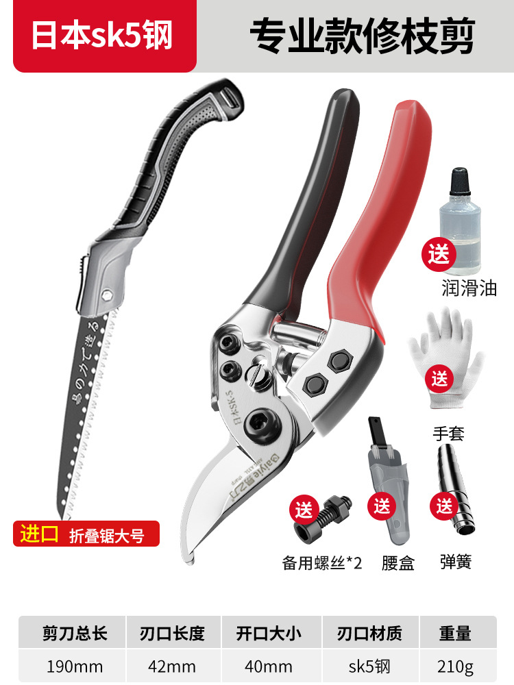 Tijeras de rama de fruta Yizili tijeras de jardín de primavera SK5 hoja de acero tijeras de jardinería doméstica tijeras de podar Bonsai de jardín al por mayor