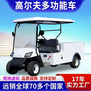 Export Electric Tourist Golf Carts Scenic Spot Hotel New Energy Golf Course Sightseeing Golf Carts