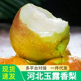 块茎类;其他水果;苹果