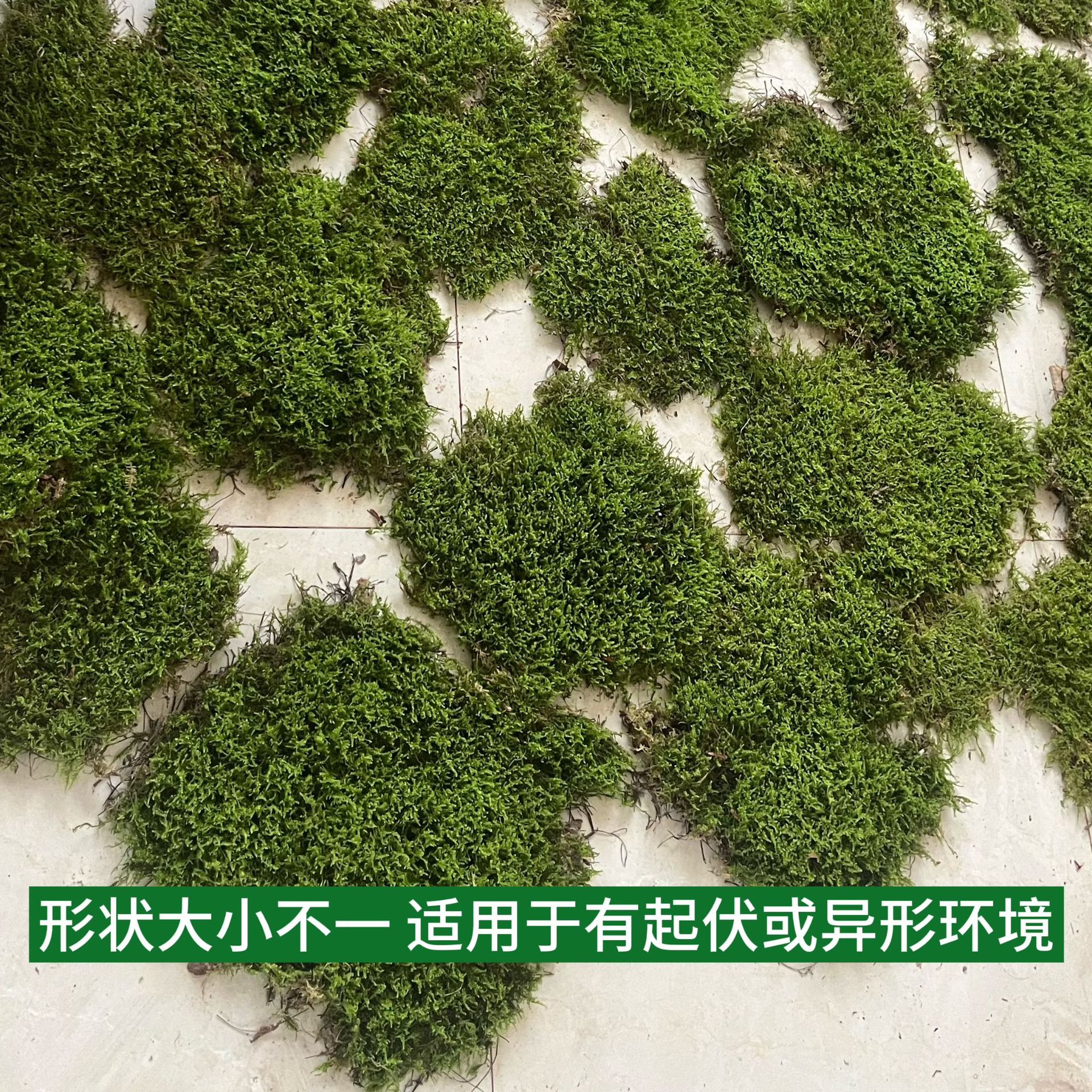 微信图片_20250729163539