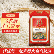 ̩����������2025����̩��10����븮10�������l�Z���L����������