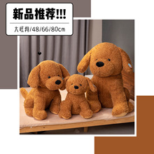 ��������F�eȮС��������ë�q��߱�����ż��ͯ�YƷ���lһ�����l