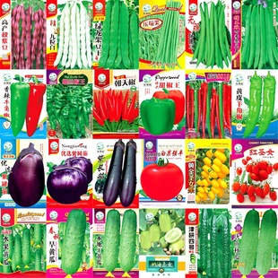 �߲˷N���ļ��������̨ͥԺ�����˶�������С�[�������ݴ�ȫ