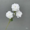 Pure white
