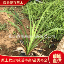 ��������n���ͺ����ܽ�����������������lͥԺ�G����Gֲ����