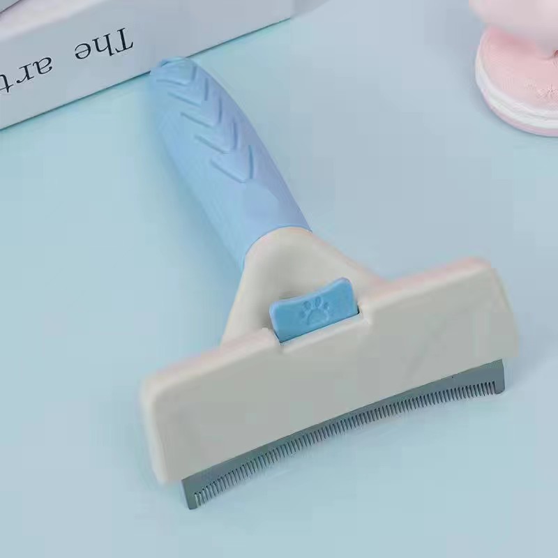 캔디 블루 대형