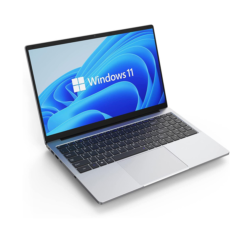 17.3inch 노트북 N4020 쿼드코어 HD IPS 화면 1920*1080 제조사 도매 8G+256G
