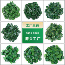 ���l����Gֲ���^�z����G�}�~�����~�b��ٗl�Ҿ��b������ٗl