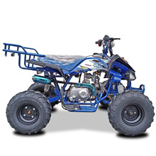 SֱN110CC-125CCɳ܇ȫ܇ATV݆ԽҰĦ܇atv