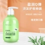女士发廊保湿弹簧素