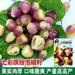 �߲ʽ��N��С�����V���خa�ݽ�������ʽ����������߲˷N���ļ���