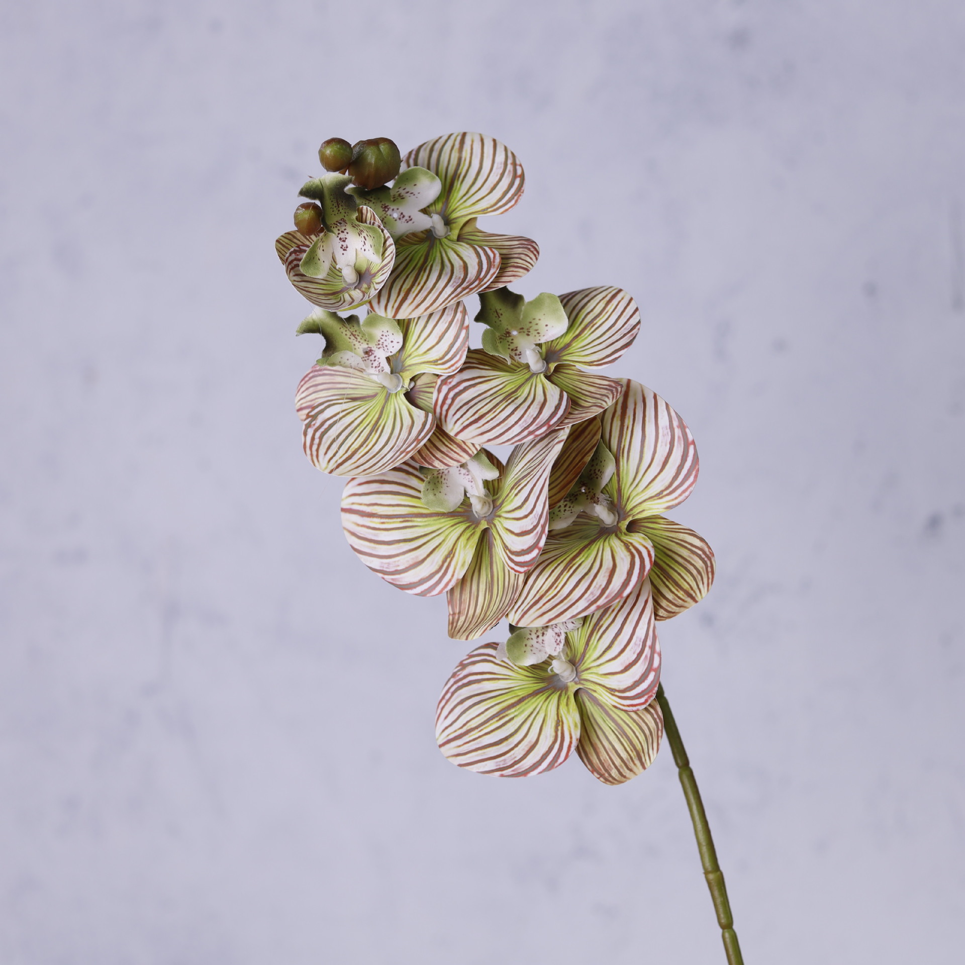 Impresión 3D de 7 cabezas de orquídeas mariposa flor de decoración de flores de alto nivel flor de nicho decoración floral decoración de sala de estar