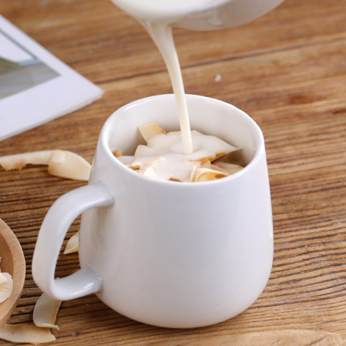 Coconut Crisps - Hainan Specialty, Crispy Coconut Chips 2500g, Smoked Coconut Slices, Dried Coconut Meat, Baking Commercial Raw Material