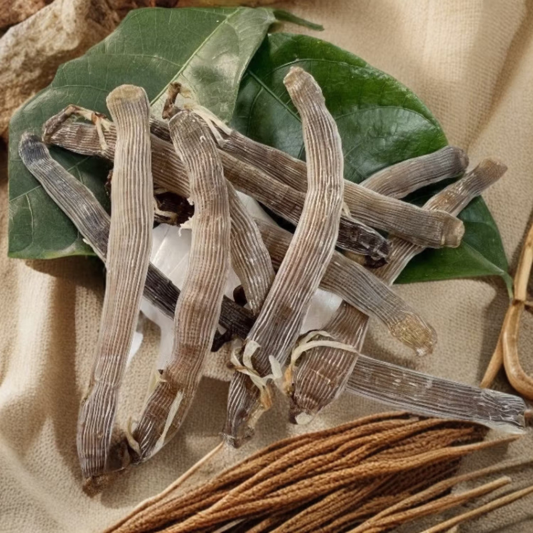 Dried Sandworm Sipunculus nudus Sha Chong 500g Premium Whole Sun-Dried Sea Worm for Soup and Congee quality and texture
