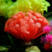 ���溣�� ܛ�w���zɺ��������đˮĸ �~���쾰ˮ�����b�Ʒ��ɫ