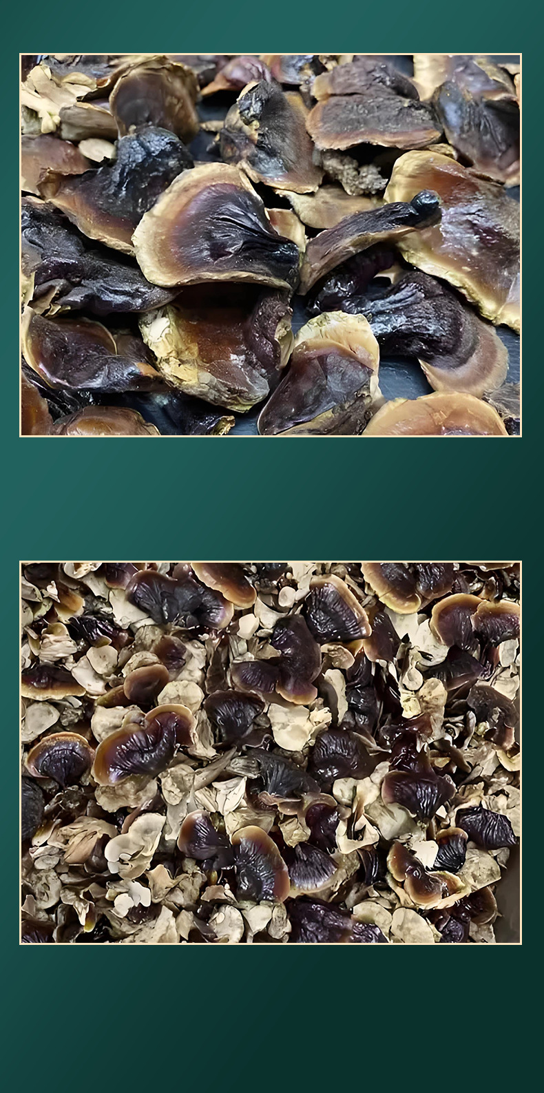Dried Gold-Banded Reishi Mushroom Slices 200g Fragrant Mild for Soup Tea and Wine Soak quality and texture