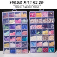 天然贝壳盒装贝碎薄片亮片手工饰品胸针螺钿漆画diy美甲指甲贴片