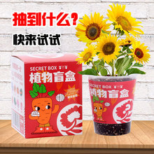 ����ä�Ѓ�ͯ�NֲС����ä�������������Ի��r�׃��@��ֲͯ���^��