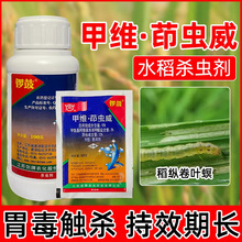 茹�15%�׾S���x��ӡ�x�ڼ׾S�}���S�����ؚ��x��ˮ�����v���~��