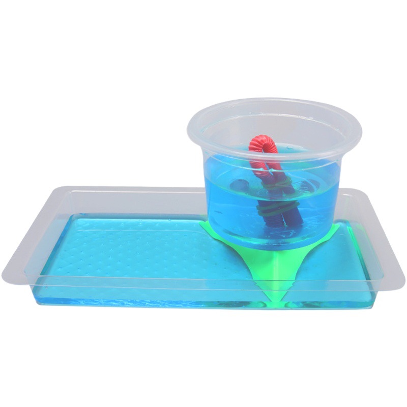 Experimento de ciencia para niños material didáctico Tecnología pequeña producción invención DIY hecho a mano sifón principio justo taza