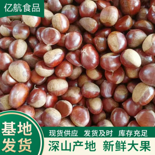 ɽ�|������羳�������ږ|�ρ�  ԭ���B�������l ��Ŵ�ڸ�ë��