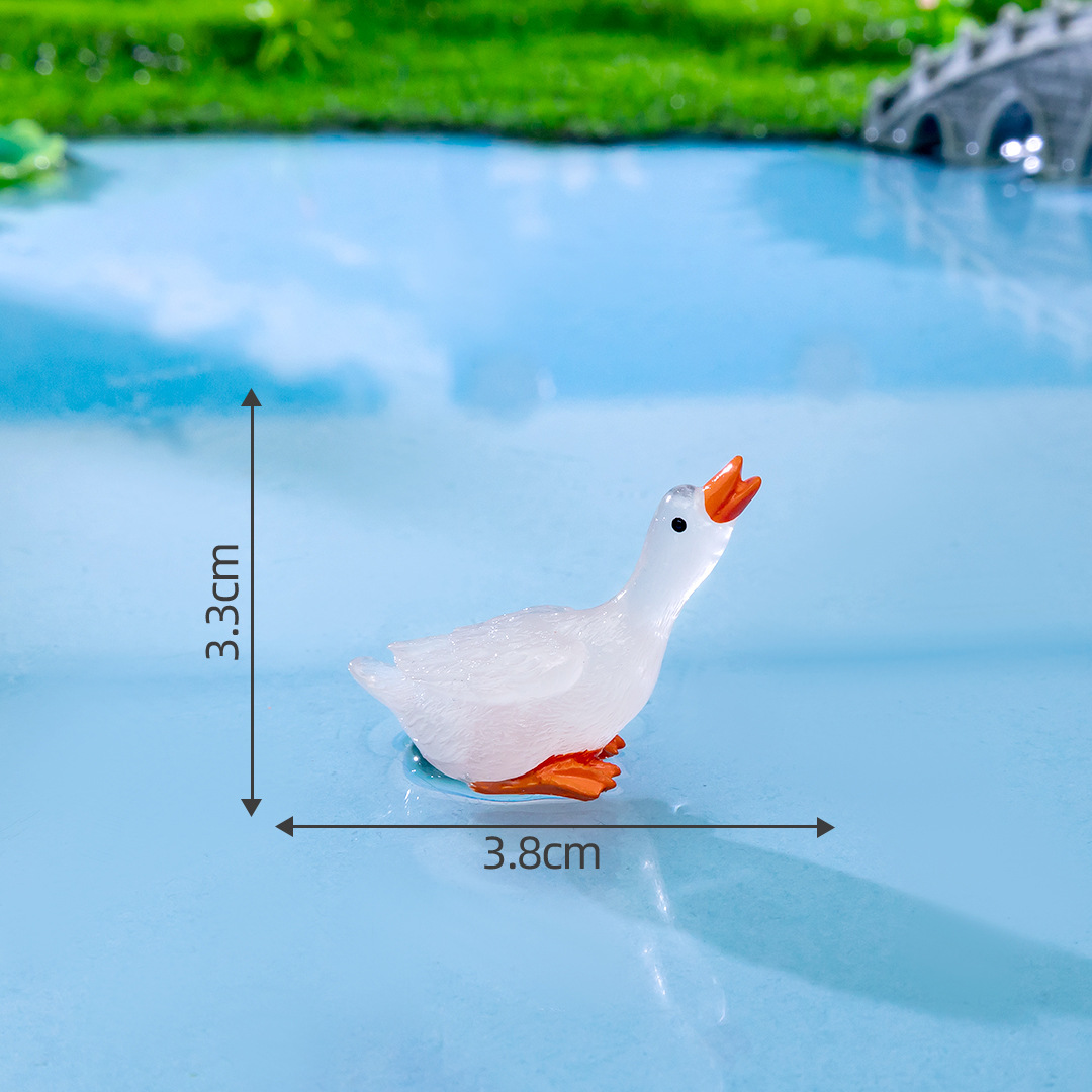 White swan, 2 size