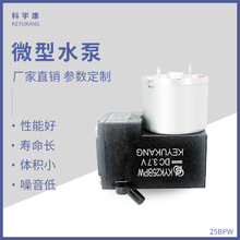 25BPW小型水泵 循环自吸水泵厂家供应自吸水低噪音隔膜泵泡沫泵