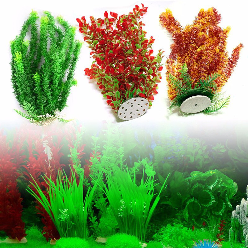 aquarium