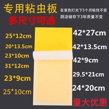 ճʽωճωճxωNnωßճwx