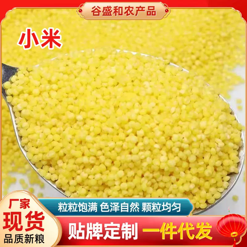 新内蒙小米东北河北黄小米50斤大包装品种齐全黄小米家庭装