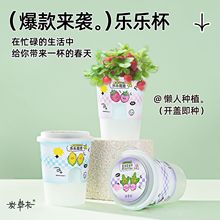 Ecoeyֲ��ä�����ԃ�ͯС���r�҃Ȅ��⻨�����污�ɻ��ܾGֲ���l