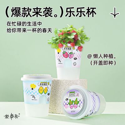 Ecoey Botany Potted plant children Small growers indoor originality Flowers desktop Mint flowers and plants Green plant wholesale