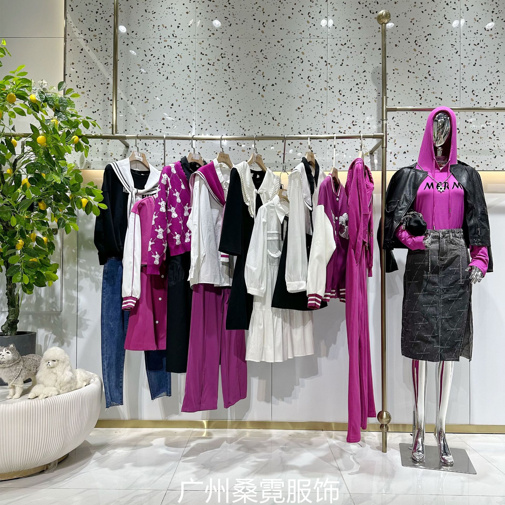 微信图片_20240112091427