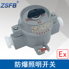 �㽭����SWB10A���������������Ͻ�Exdbeb��BT6����10A��ѹ220V