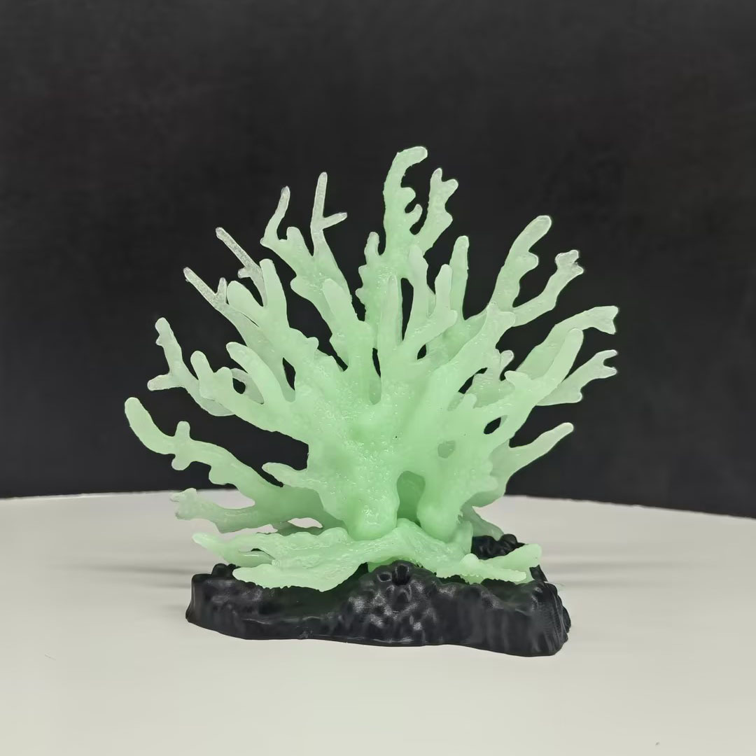 Base de cinturón de coral fluorescente pequeño