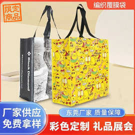 厂家现货防水覆膜无纺布袋定制logo手提展会宣传DIYPP编织购物袋
