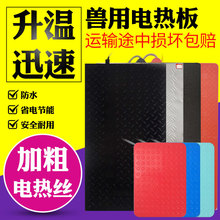 小猪不锈钢电热板猪用碳纤维母猪产床电热板兽用加热板兽用保温板