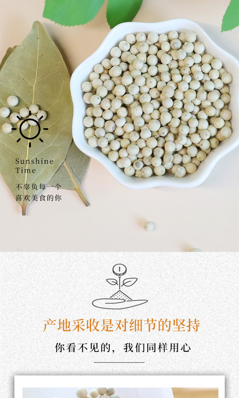 White Pepper Whole Peppercorns Bai Hu Jiao 50g Culinary Spice for Soups Marinades and Seasoning quality and texture