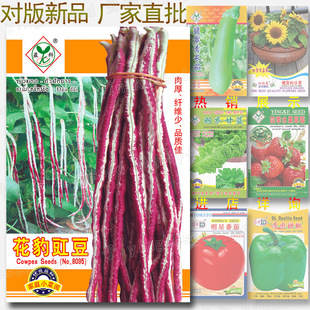 ���������N�� 10�� �L���� �t������ �t�߽Ƕ��N�� �߲˷N�����l