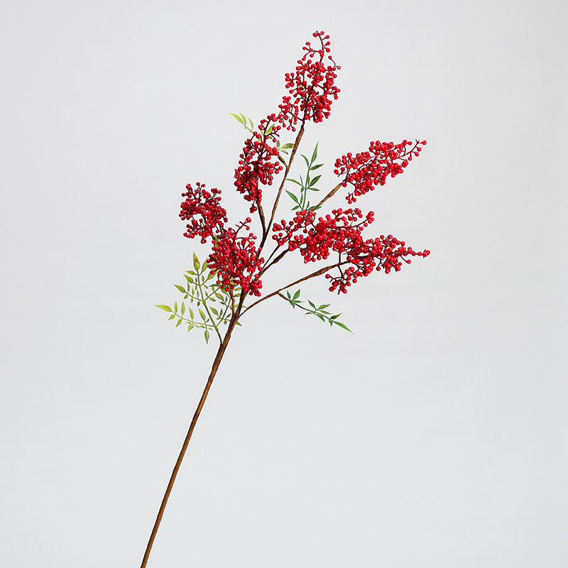 난디나 대나무 열매 가지 7개 빨간색