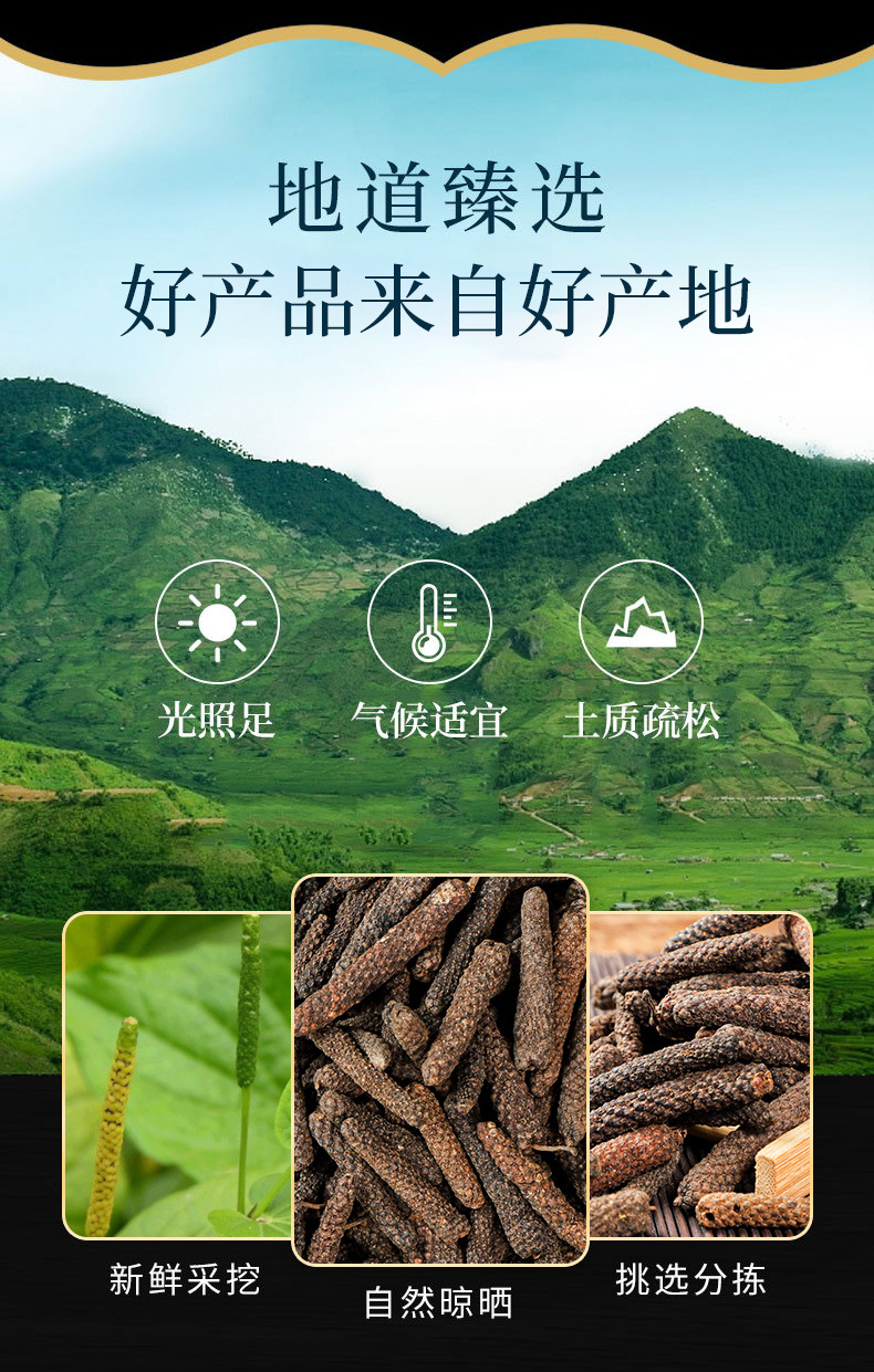 Bi Bo (Piper longum) — Dried Long Pepper Spice & Food Herb, 500g key features
