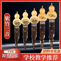 紫竹三音葫芦糸C調律B調成人g調初心者小学生児童独学演奏型楽器