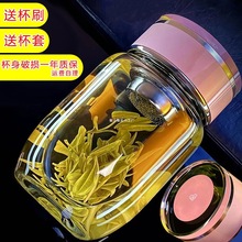 2025新款简约时尚加厚泡茶杯带盖单层玻璃杯那男女便携迷你胖胖水