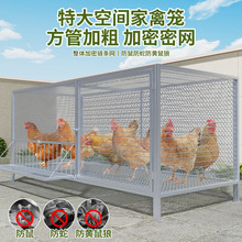 鸡笼家用室外鸡笼子养殖笼兔笼鸽子笼鸡舍大号加密网片笼防黄鼠狼